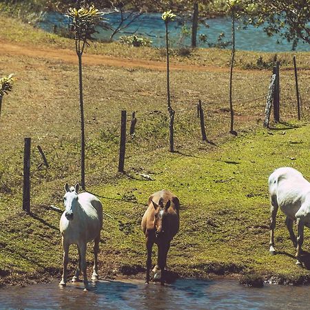 ホテル Termales Del Bosque & Hot Springs La Marina エクステリア 写真