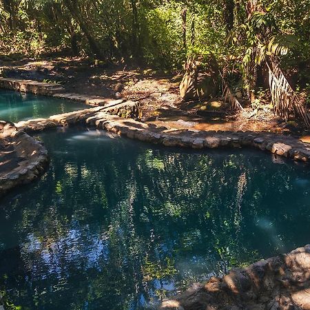 ホテル Termales Del Bosque & Hot Springs La Marina エクステリア 写真