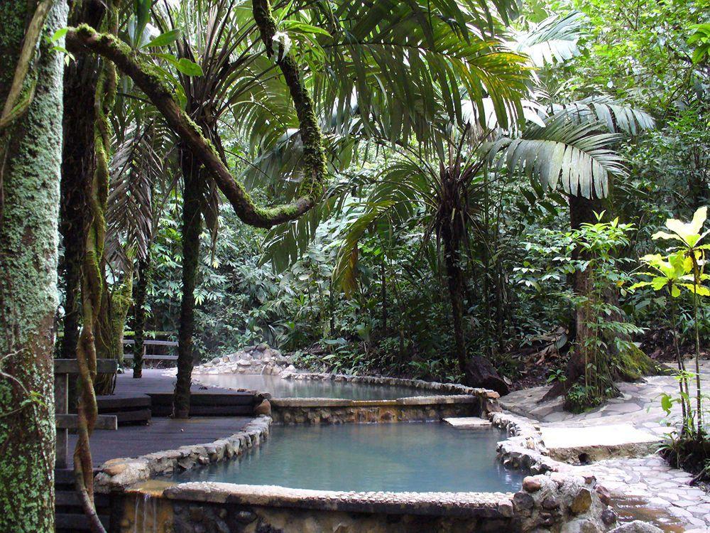 ホテル Termales Del Bosque & Hot Springs La Marina エクステリア 写真