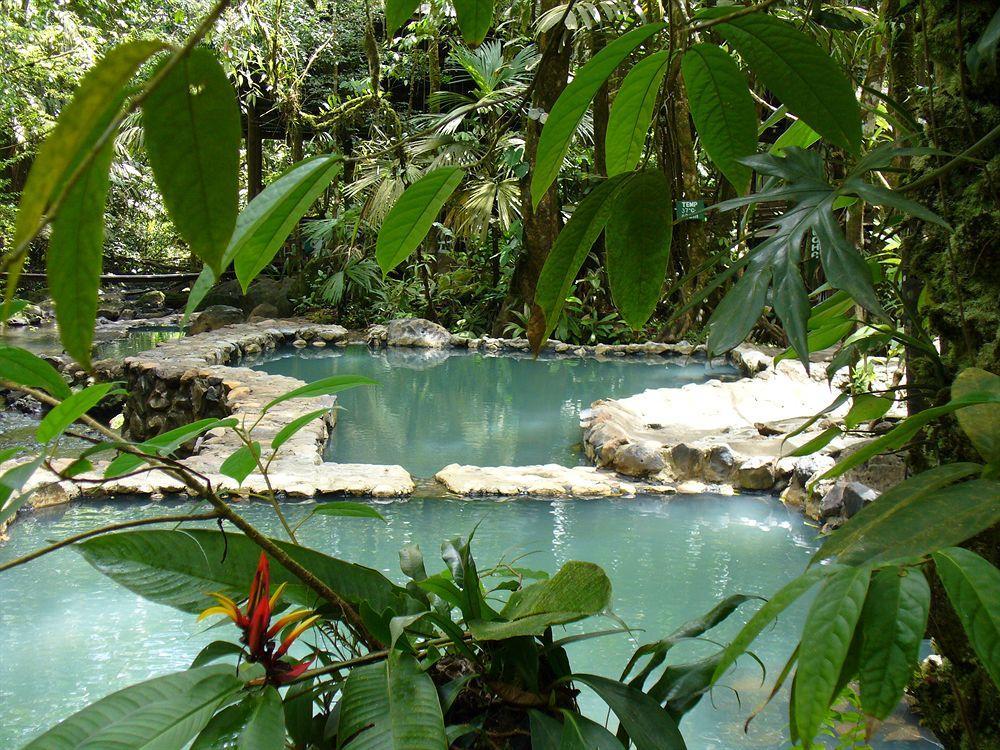ホテル Termales Del Bosque & Hot Springs La Marina エクステリア 写真