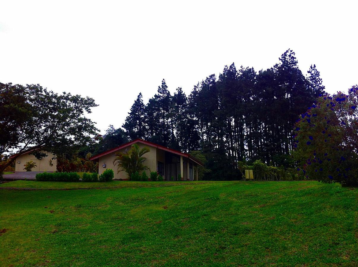 ホテル Termales Del Bosque & Hot Springs La Marina エクステリア 写真