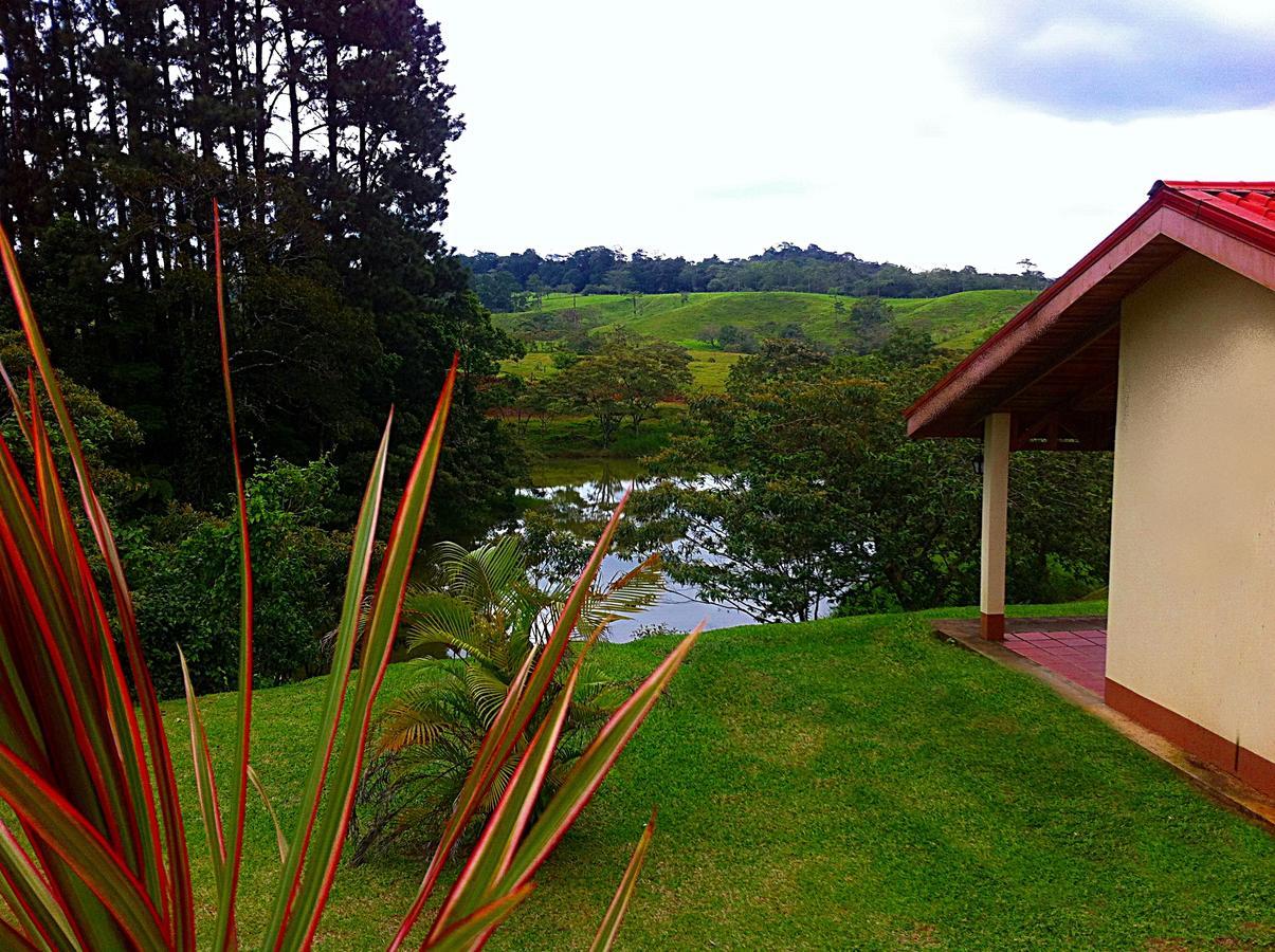 ホテル Termales Del Bosque & Hot Springs La Marina エクステリア 写真