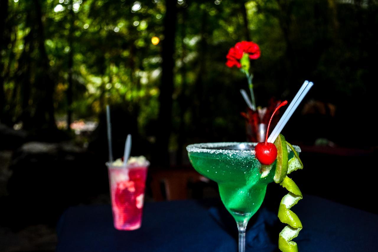 ホテル Termales Del Bosque & Hot Springs La Marina エクステリア 写真