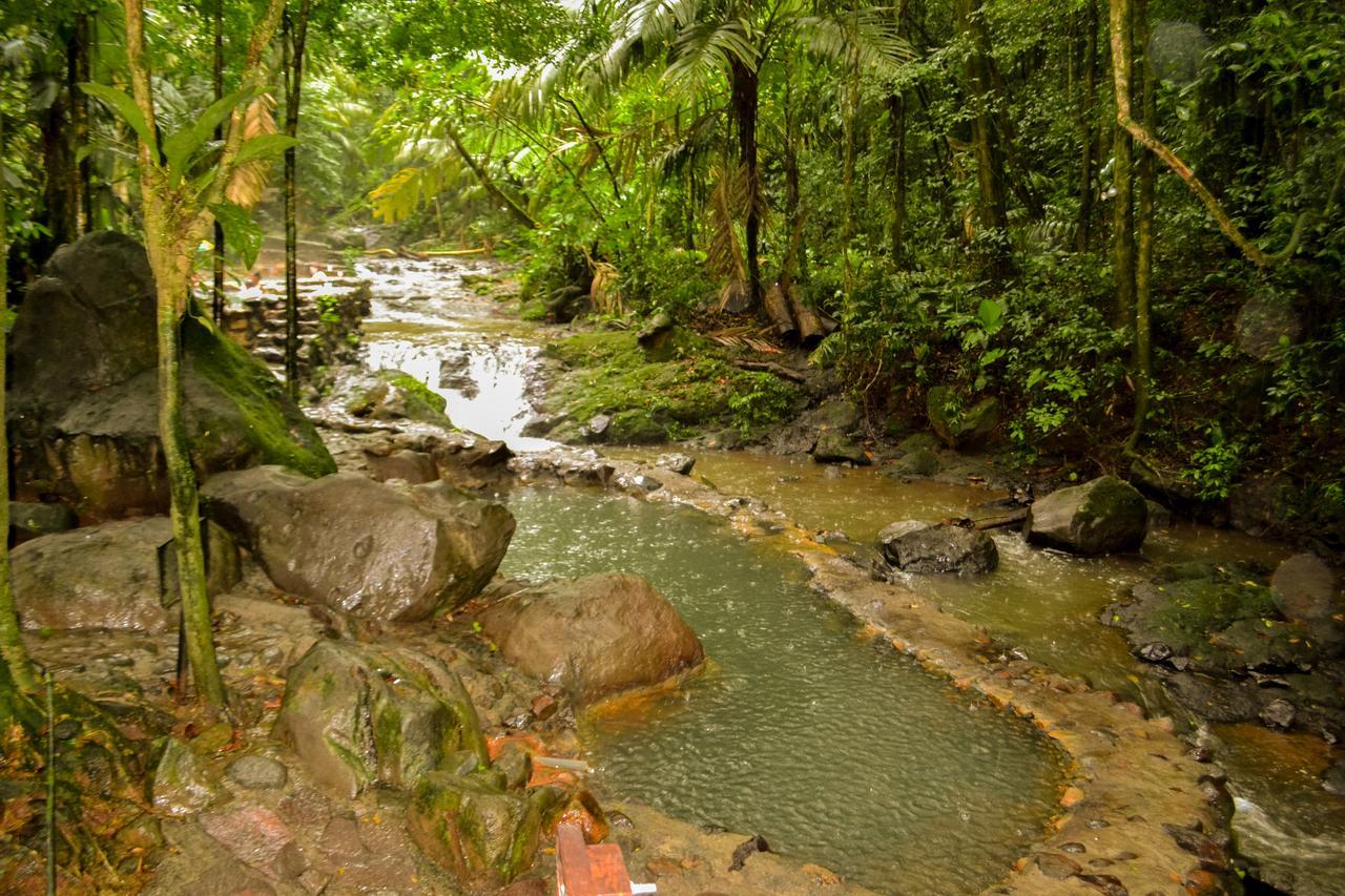 ホテル Termales Del Bosque & Hot Springs La Marina エクステリア 写真