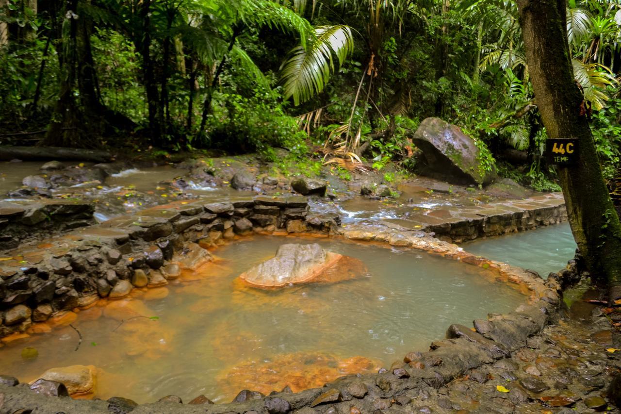 ホテル Termales Del Bosque & Hot Springs La Marina エクステリア 写真