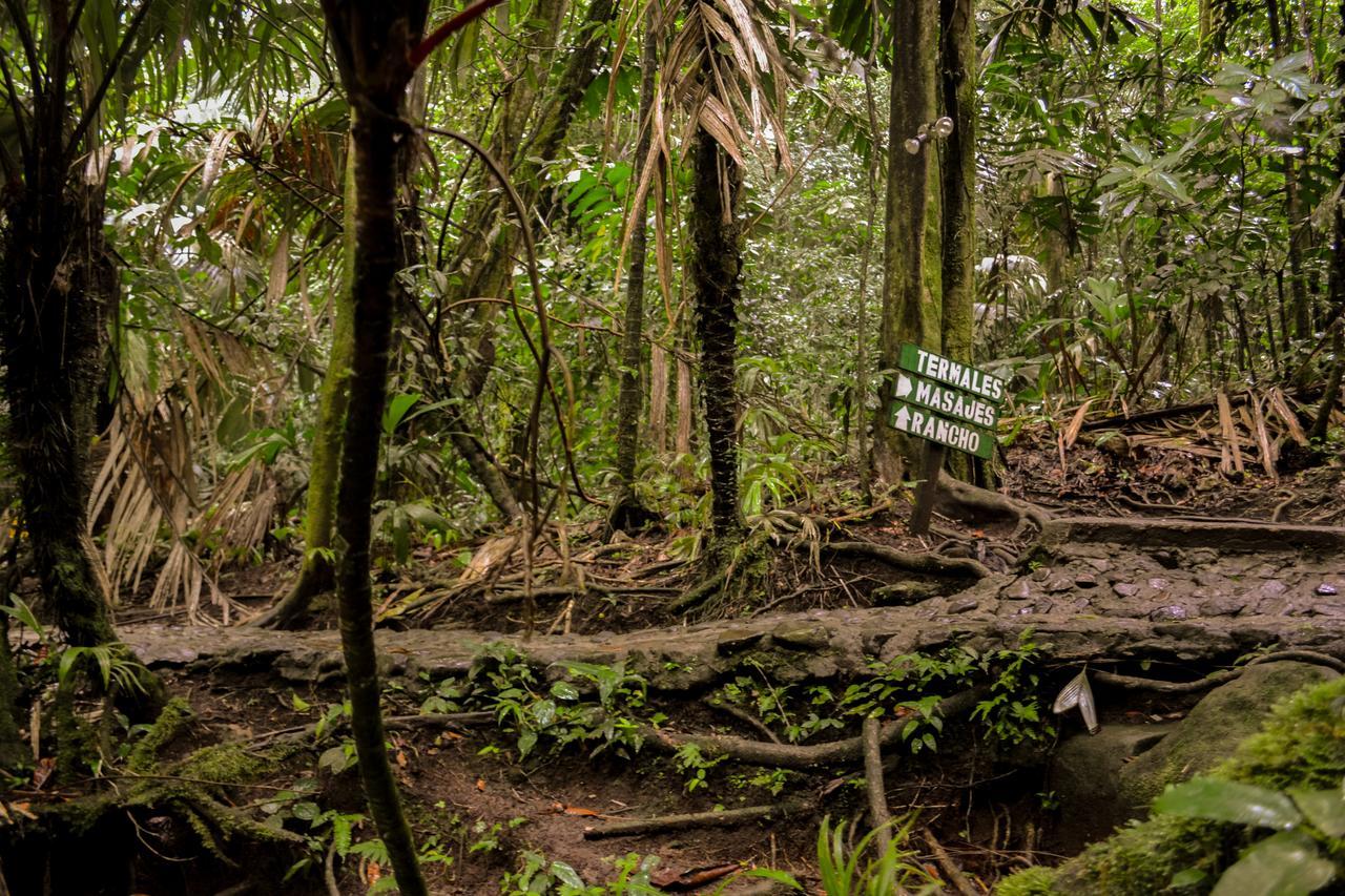 ホテル Termales Del Bosque & Hot Springs La Marina エクステリア 写真