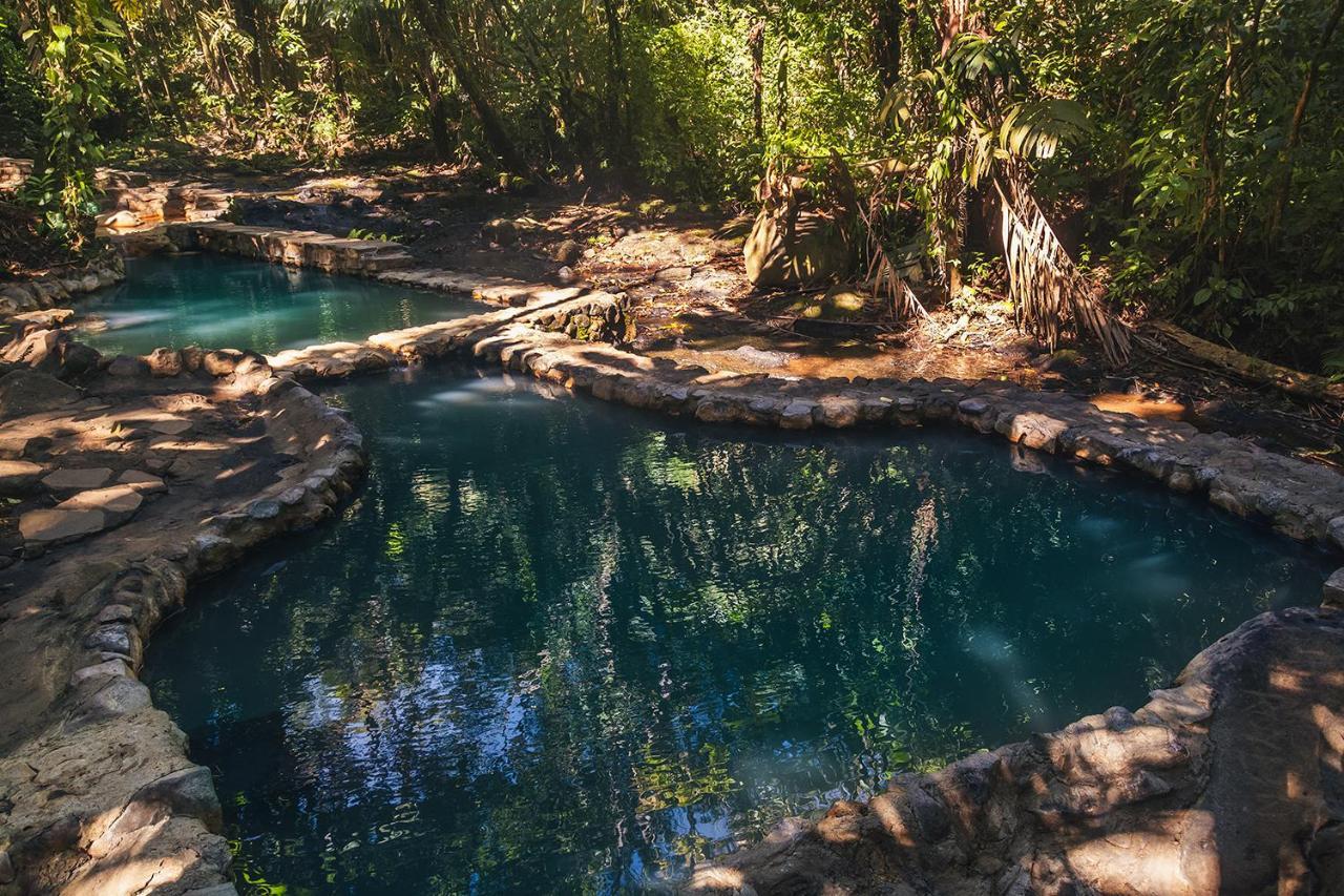 ホテル Termales Del Bosque & Hot Springs La Marina エクステリア 写真