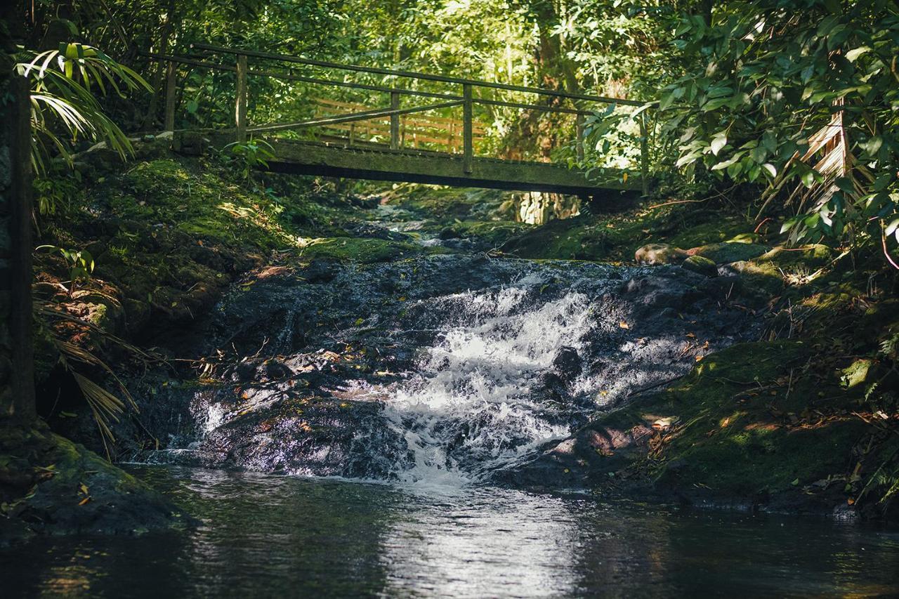 ホテル Termales Del Bosque & Hot Springs La Marina エクステリア 写真