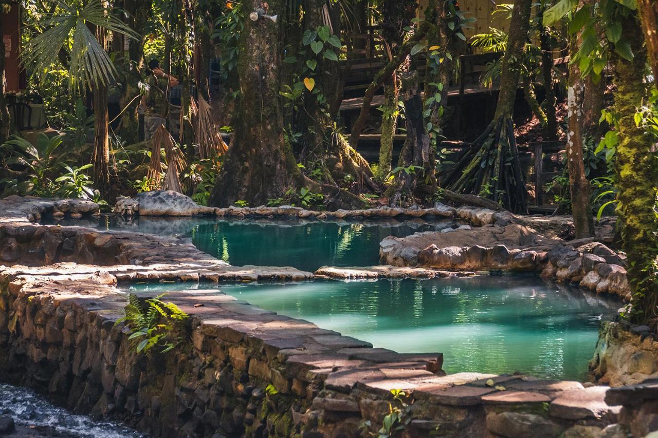 ホテル Termales Del Bosque & Hot Springs La Marina エクステリア 写真