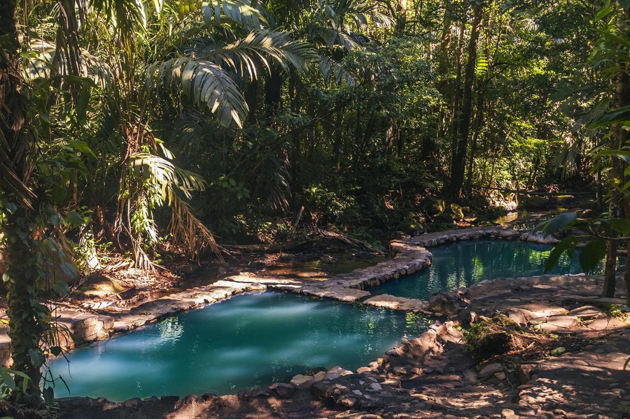ホテル Termales Del Bosque & Hot Springs La Marina エクステリア 写真