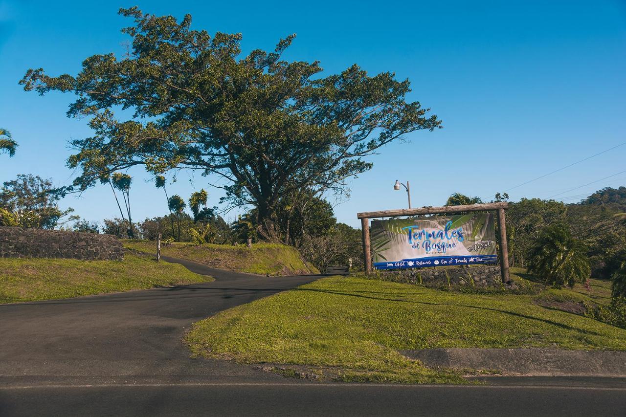 ホテル Termales Del Bosque & Hot Springs La Marina エクステリア 写真